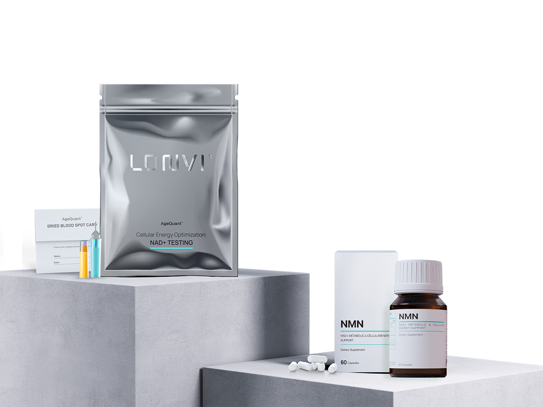 The Link Between NMN and NAD⁺: What You Need to Know