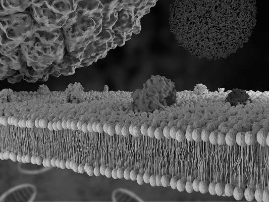 Expanding the NAD⁺ Precursor Landscape: A Comparative Review of NMN, NR, NA, NAM, NaR, and NRH