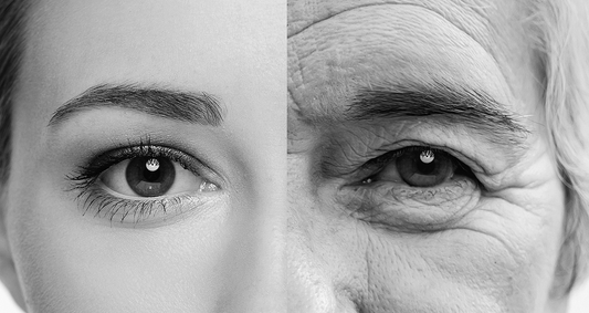 Epigenetic Drift in Aging: How Chromatin Remembers the Past