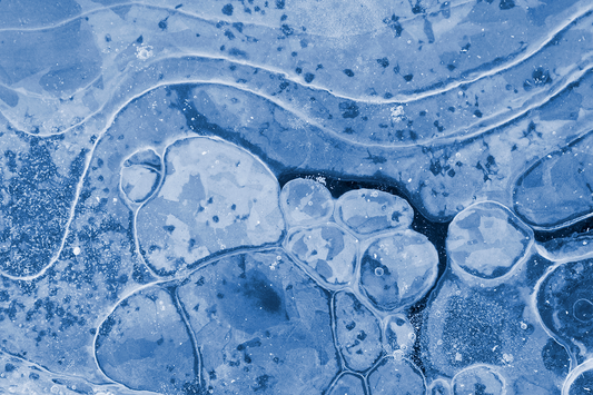 Mitochondrial Decline in Aging Cells: From Energy Crisis to ROS Storm