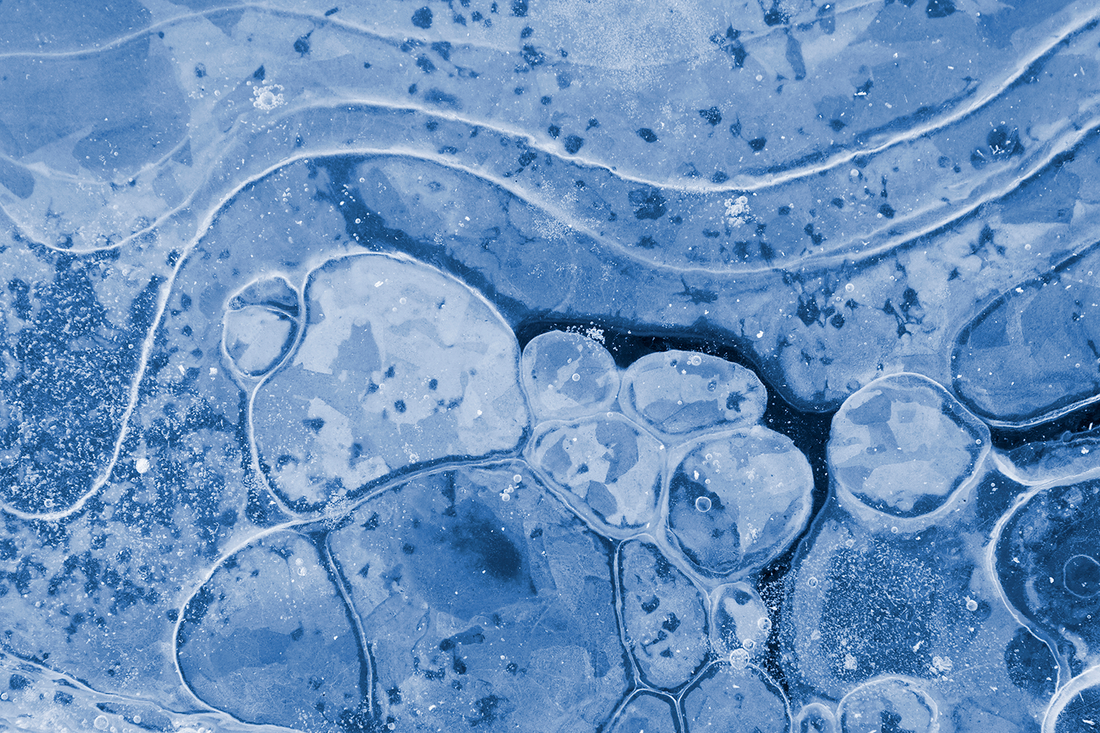 Mitochondrial Decline in Aging Cells: From Energy Crisis to ROS Storm